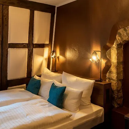 Trip Sachsenhausen ゲストハウス 4*