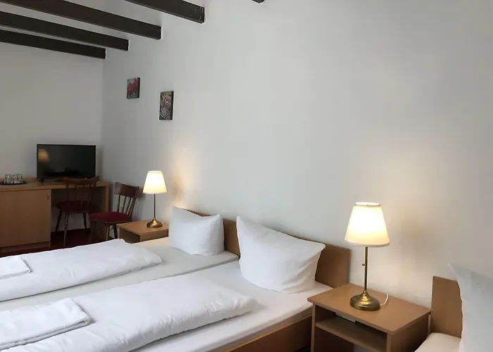 Affittacamere Trip Sachsenhausen 4*